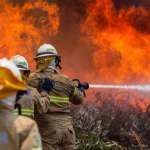 U svetlu tragedije u Portugalu: Niko više nije pošteđen uticaja globalnog zagrevanja i šumskih požara U svetlu tragedije u Portugalu: Niko više nije pošteđen uticaja globalnog zagrevanja i šumskih požara