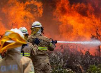 U svetlu tragedije u Portugalu: Niko više nije pošteđen uticaja globalnog zagrevanja i šumskih požara U svetlu tragedije u Portugalu: Niko više nije pošteđen uticaja globalnog zagrevanja i šumskih požara