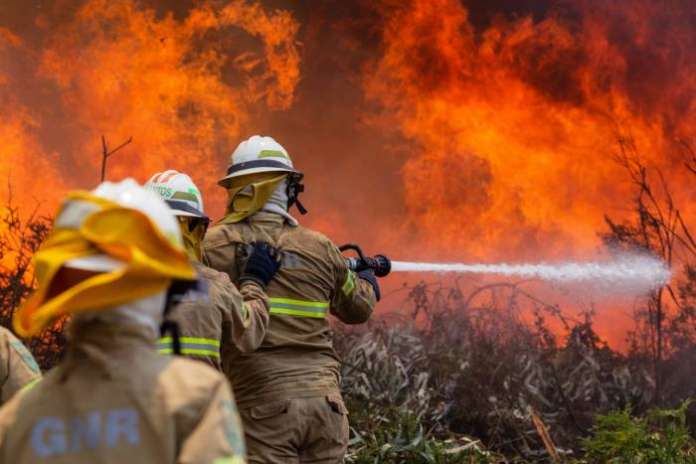 U svetlu tragedije u Portugalu: Niko više nije pošteđen uticaja globalnog zagrevanja i šumskih požara