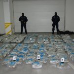 Carinici za 14 sekundi pronašli skriveni tovar! Carinici za 14 sekundi pronašli skriveni tovar!