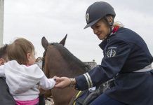 STRATEGIJA POLICIJE U ZAJEDNICI – Važan korelat ka nacionalnoj bezbednosti STRATEGIJA POLICIJE U ZAJEDNICI, važan korelat ka nacionalnoj bezbednosti