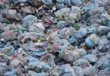 Srbija vraća ekološki dug: Smanjena upotreba plastičnih kesa za čak 60 procenata! srbija-vraca-ekoloski-dug-smanjena-upotreba-plasticnih-kesa-za-cak-60-procenata