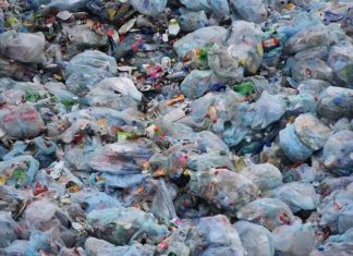 Srbija vraća ekološki dug: Smanjena upotreba plastičnih kesa za čak 60 procenata! srbija-vraca-ekoloski-dug-smanjena-upotreba-plasticnih-kesa-za-cak-60-procenata