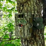 FOTOKLOPKE – Pametna zaštita Vaše imovine! Fotoklopke - pametna zaštita vaše imovine