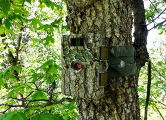 FOTOKLOPKE – Pametna zaštita Vaše imovine! Fotoklopke - pametna zaštita vaše imovine