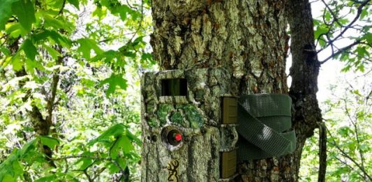 Fotoklopke - pametna zaštita vaše imovine