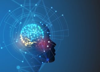 Kako do IT sektora? Evo koje veštine poseduju sajber stručnjaci