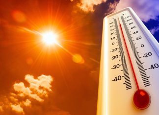 Da li mora da idemo na posao dok traju paklene vrućine? Koje su obaveze poslodavaca? da-li-mora-da-idemo-na-posao-dok-traju-paklene-vrucine-koje-su-obaveze-poslodavaca