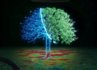 Kamere koje čuvaju životnu sredinu: Nova dimenzija bezbednosnih sistema Kamere koje čuvaju životnu sredinu: Nova dimenzija bezbednosnih sistema