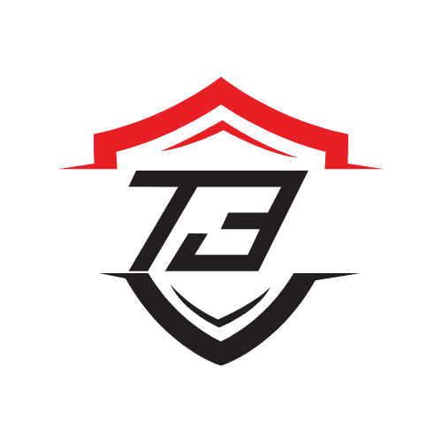 T3 