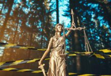 Nova konvencija Saveta Evrope: Ekološki kriminal kao ozbiljno krivično delo Nova konvencija Saveta Evrope: Ekološki kriminal kao ozbiljno krivično delo