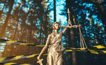 Nova konvencija Saveta Evrope: Ekološki kriminal kao ozbiljno krivično delo Nova konvencija Saveta Evrope: Ekološki kriminal kao ozbiljno krivično delo