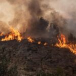 Šta su nam julski požari zaista pokazali? Šta su nam julski požari zaista pokazali?