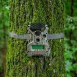 PAMETNE FOTOKLOPKE: Mali uređaji, velika zaštita PAMETNE FOTOKLOPKE: Mali uređaji, velika zaštita