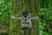 PAMETNE FOTOKLOPKE: Mali uređaji, velika zaštita PAMETNE FOTOKLOPKE: Mali uređaji, velika zaštita