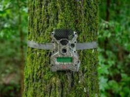 PAMETNE FOTOKLOPKE: Mali uređaji, velika zaštita PAMETNE FOTOKLOPKE: Mali uređaji, velika zaštita