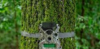 PAMETNE FOTOKLOPKE: Mali uređaji, velika zaštita PAMETNE FOTOKLOPKE: Mali uređaji, velika zaštita