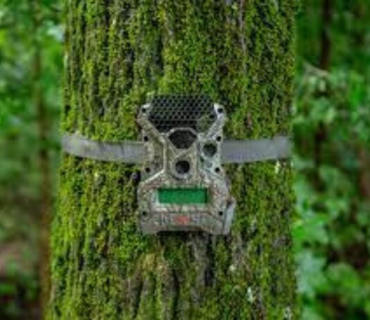 PAMETNE FOTOKLOPKE: Mali uređaji, velika zaštita PAMETNE FOTOKLOPKE: Mali uređaji, velika zaštita