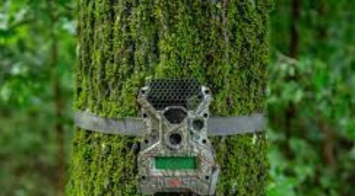 PAMETNE FOTOKLOPKE: Mali uređaji, velika zaštita PAMETNE FOTOKLOPKE: Mali uređaji, velika zaštita