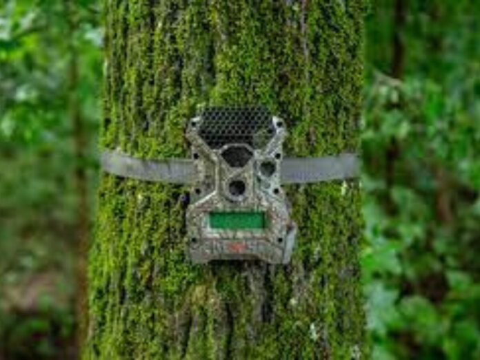 fotoklopke-mali-uredjaji-velika-zastita PAMETNE FOTOKLOPKE: Mali uređaji, velika zaštita